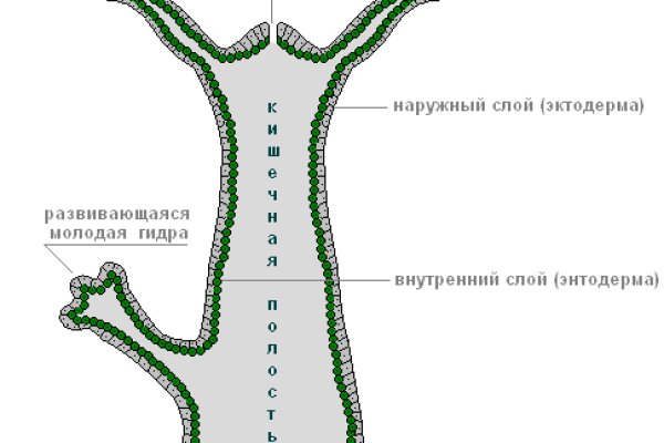 Кракен площадка kr2web in