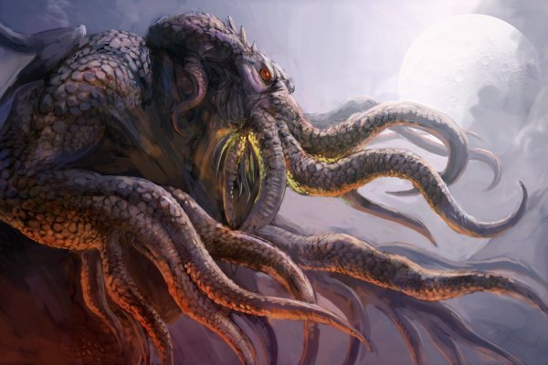 Kraken url