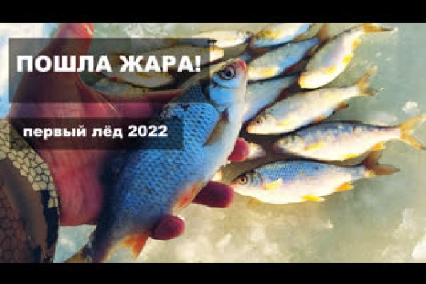 Ссылка на кракена для тора